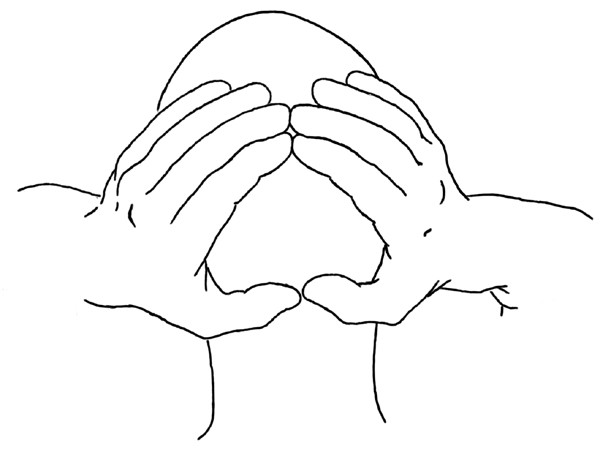 Pozycja nr 5 z ty�u